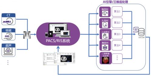 沈陽(yáng)市第六人民醫(yī)院 構(gòu)建智能化影像診斷體系，讓醫(yī)療服務(wù)更精準(zhǔn)、更高效